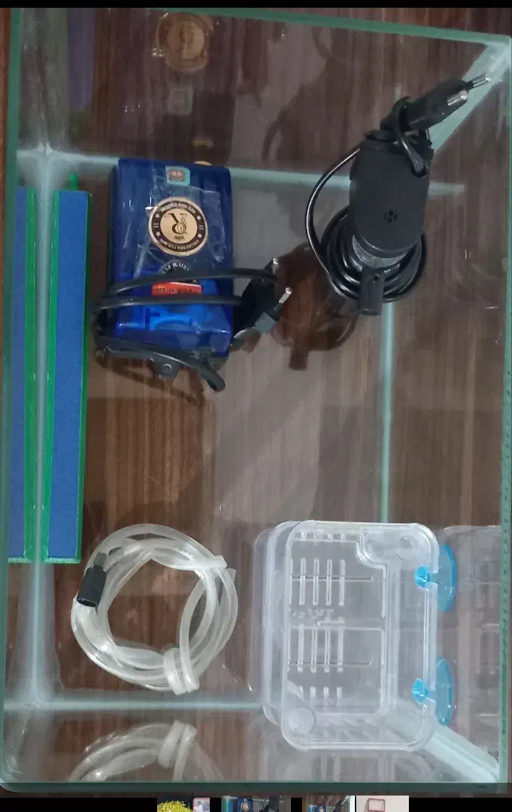 آکواریوم|ماهی|بجنورد, |دیوار