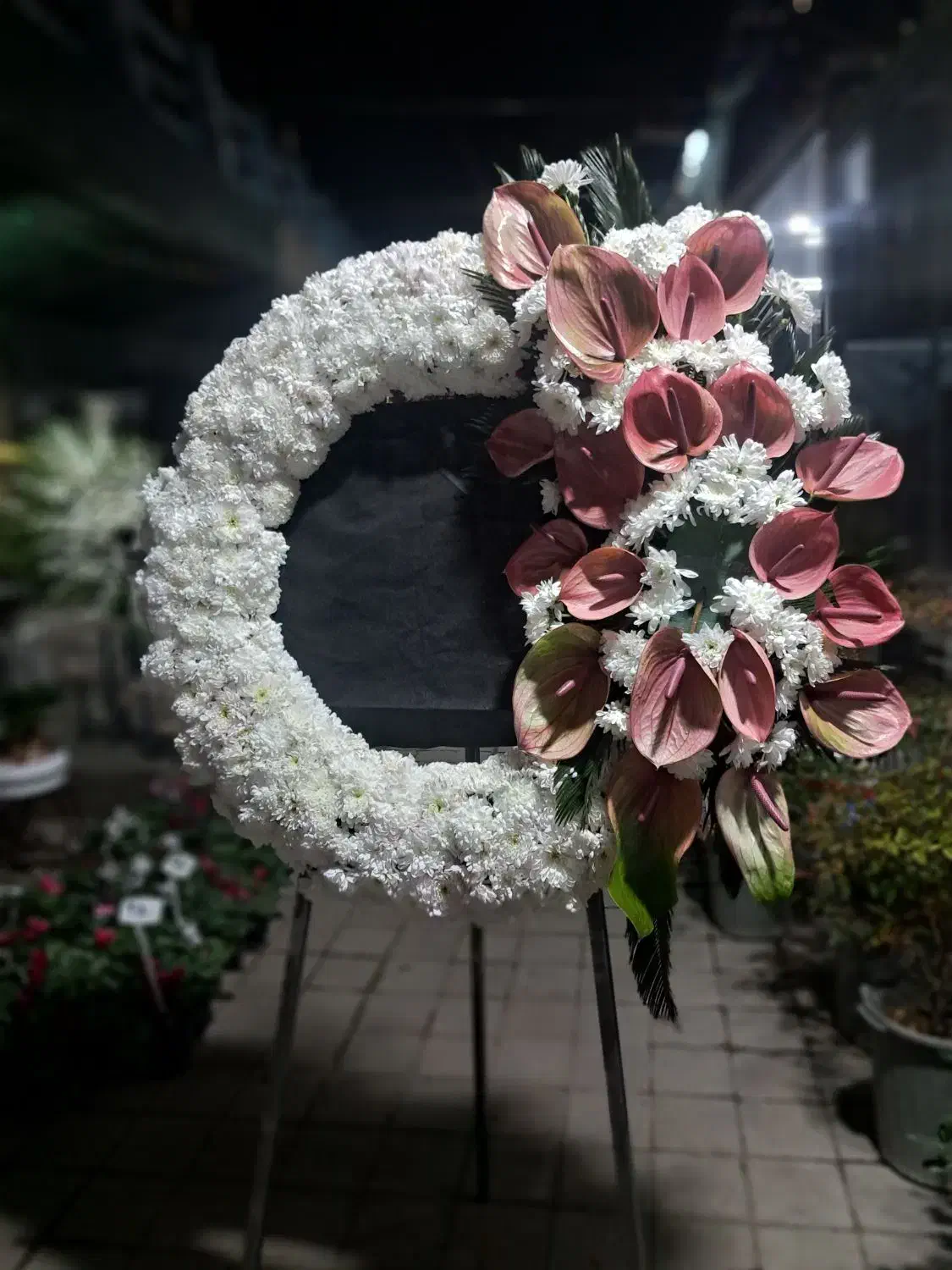 تاج گل|گل و گیاه طبیعی|تهران, دبستان|دیوار