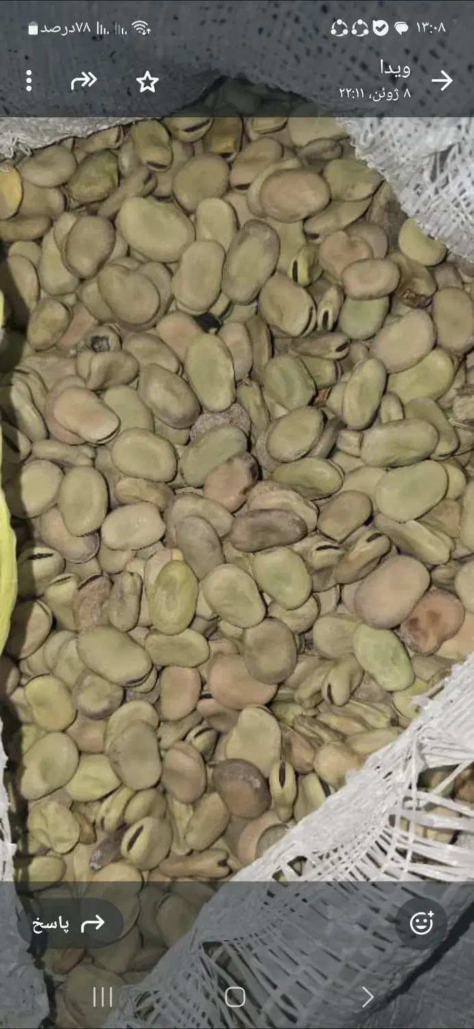 باقلا|خوردنی و آشامیدنی|شیراز, شهرک نیروی انتظامی|دیوار
