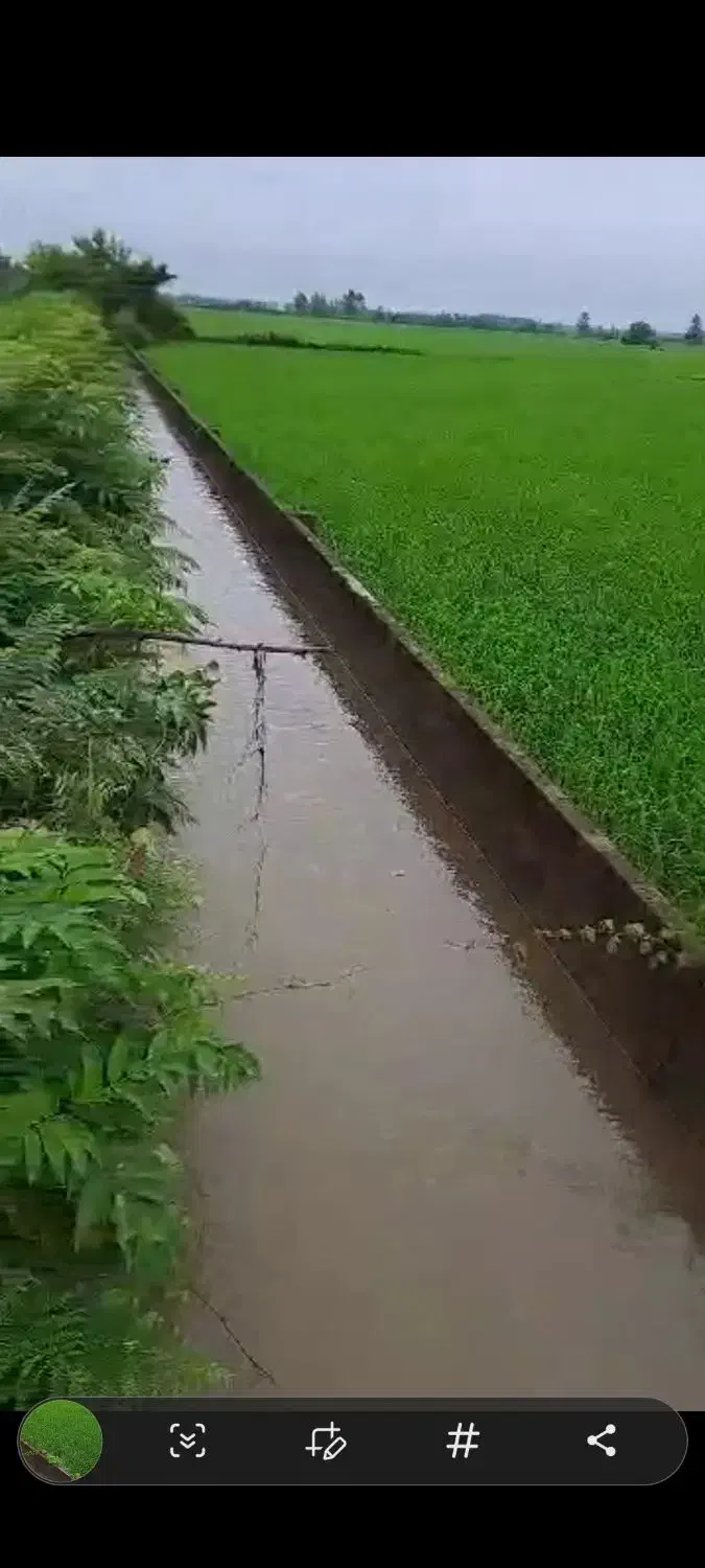 زمین کشاورزی رشت|فروش دفتر صنعتی، کشاورزی، تجاری|تولم شهر, |دیوار