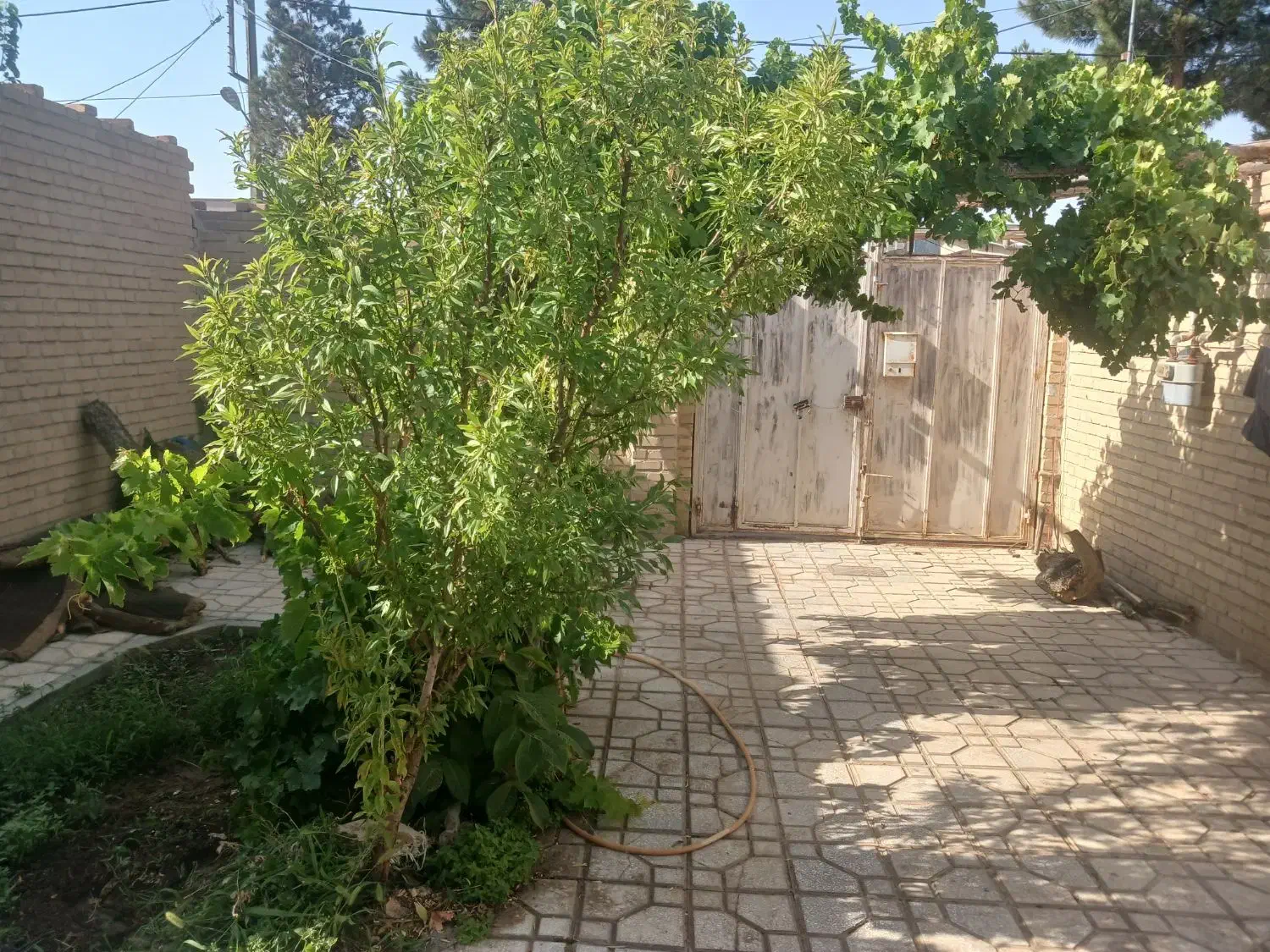 خونه ی اجاره ای|اجارهٔ خانه و ویلا|بسطام, |دیوار