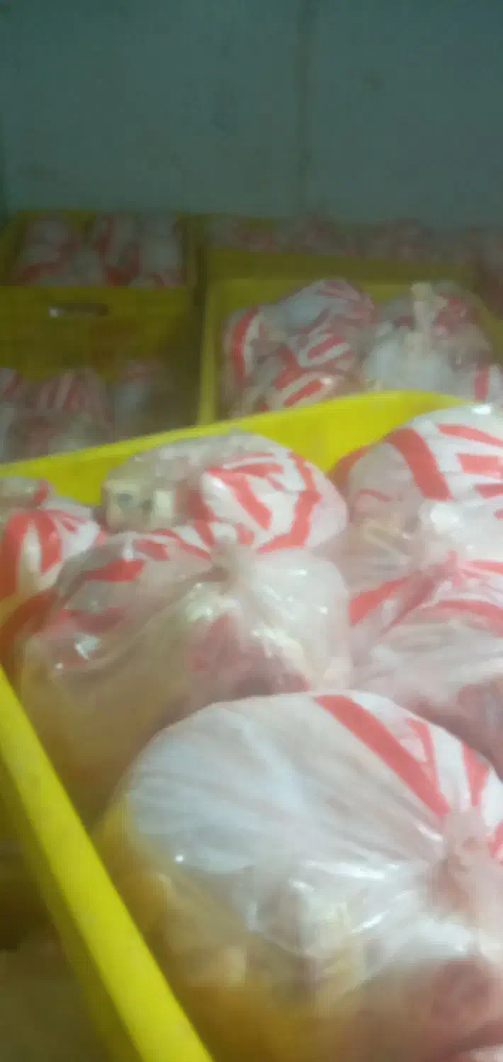 ران تازه شمال .شنیسل.فیله|حراج|کاشان, شهدا|دیوار