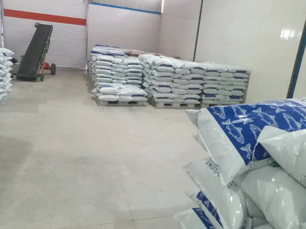 خوراک کپور وقزل|ماهی|مشگین شهر, |دیوار