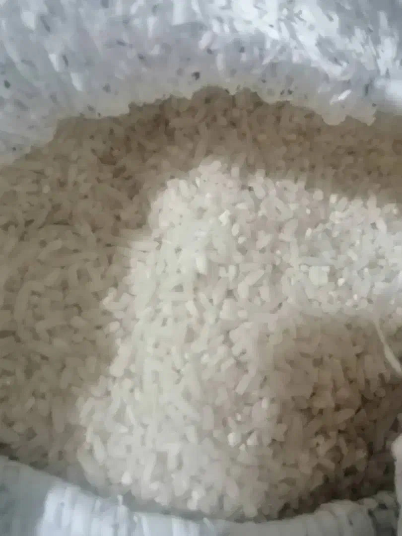 نیمدانه هاشمی|خوردنی و آشامیدنی|رشت, حومه رشت|دیوار