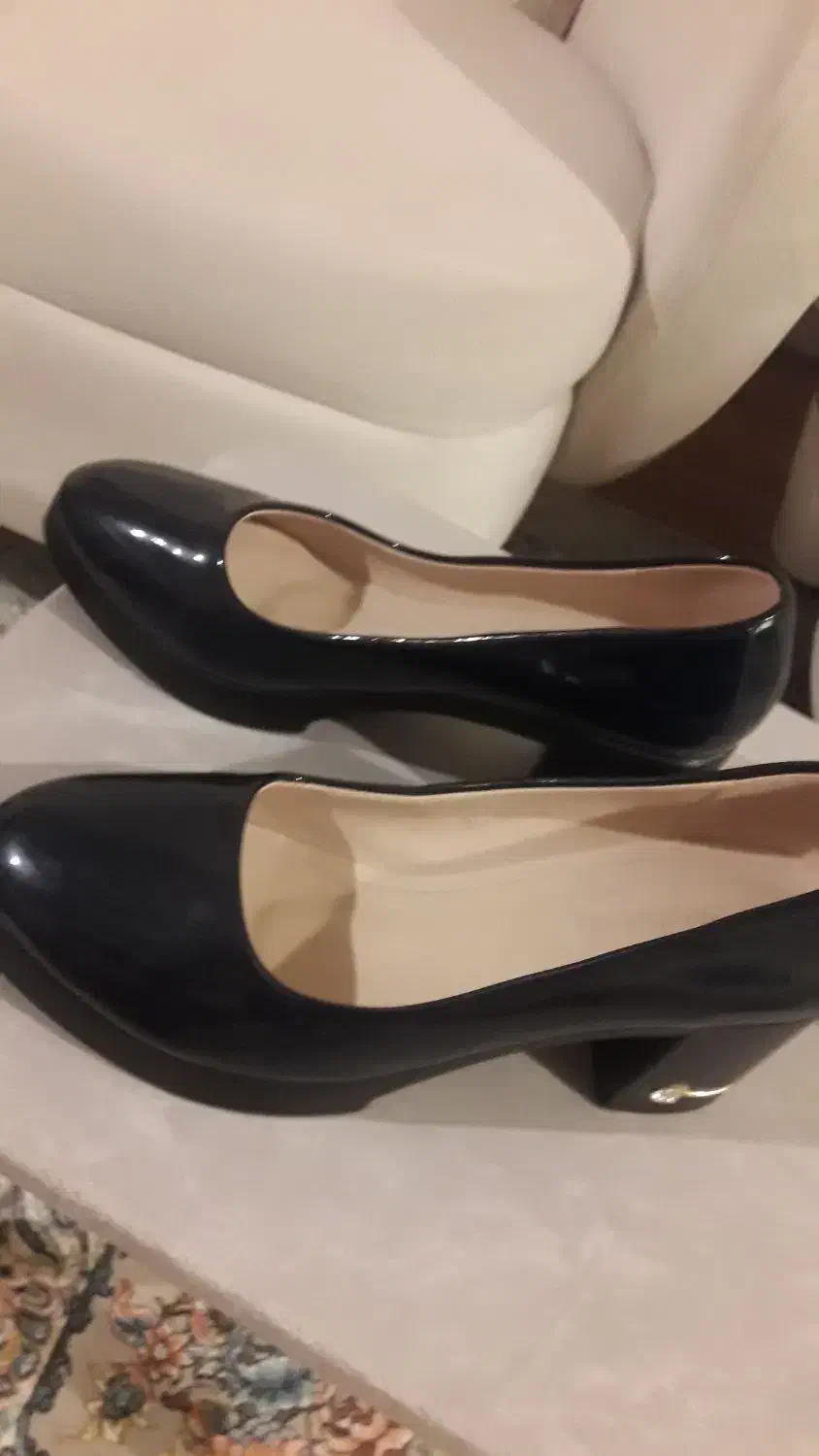 رسمی|کتابخانه، شلف، قفسههای دیواری|مشهد, گلبرگ شمالی|دیوار