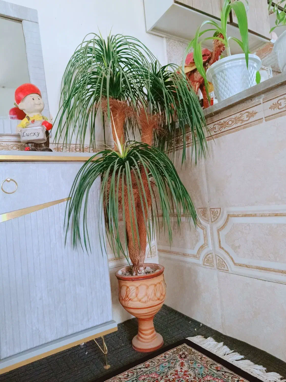 گل مصنوعی|گل مصنوعی|کرمان, |دیوار