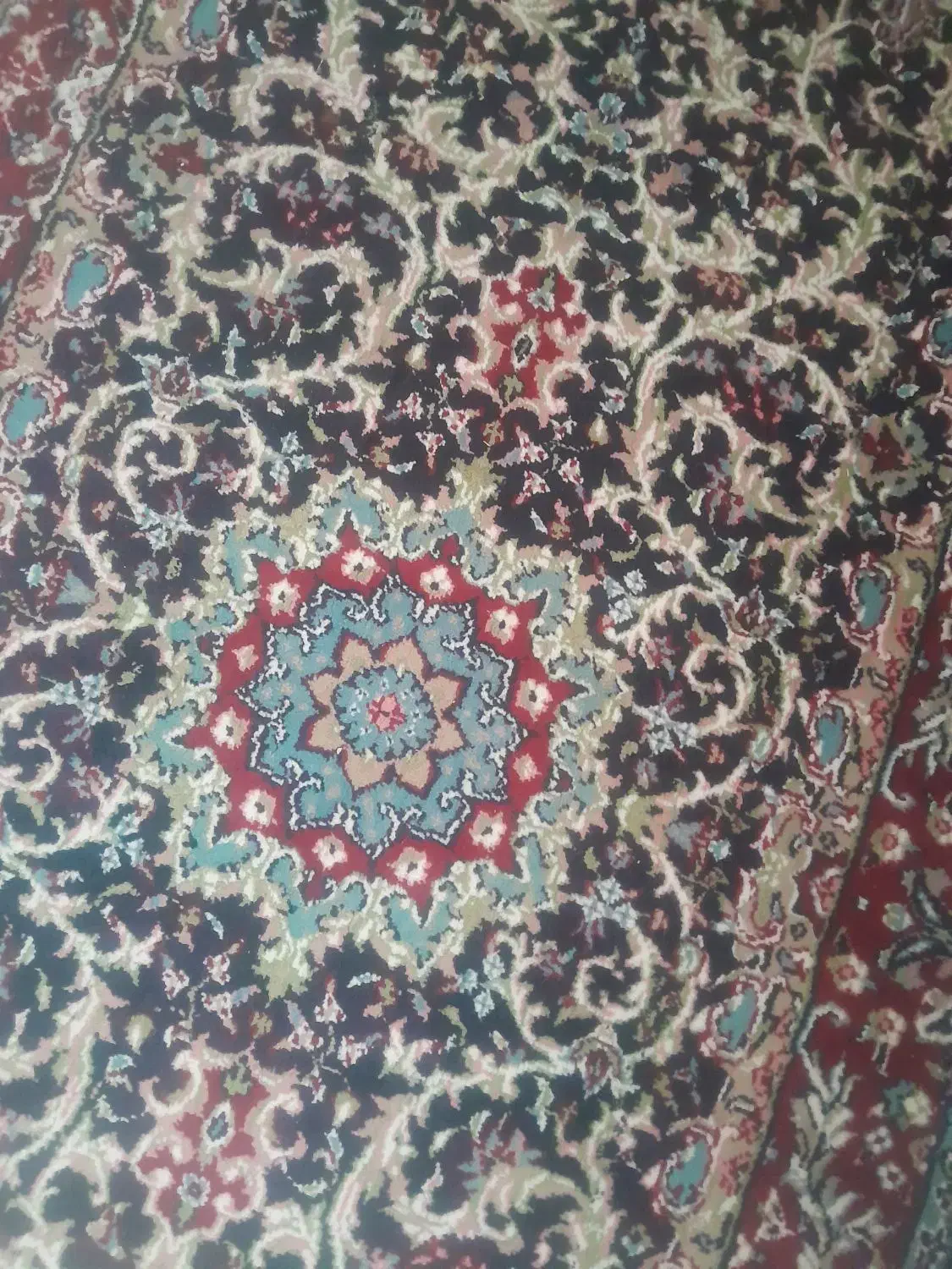 ۳تا کناره|فرش|رفسنجان, |دیوار