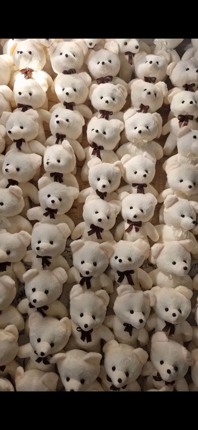 عروسک خرس باکسی ۱۵سانتی و رنگ متنوع|عمدهفروشی|رشت, دروازه لاکان|دیوار