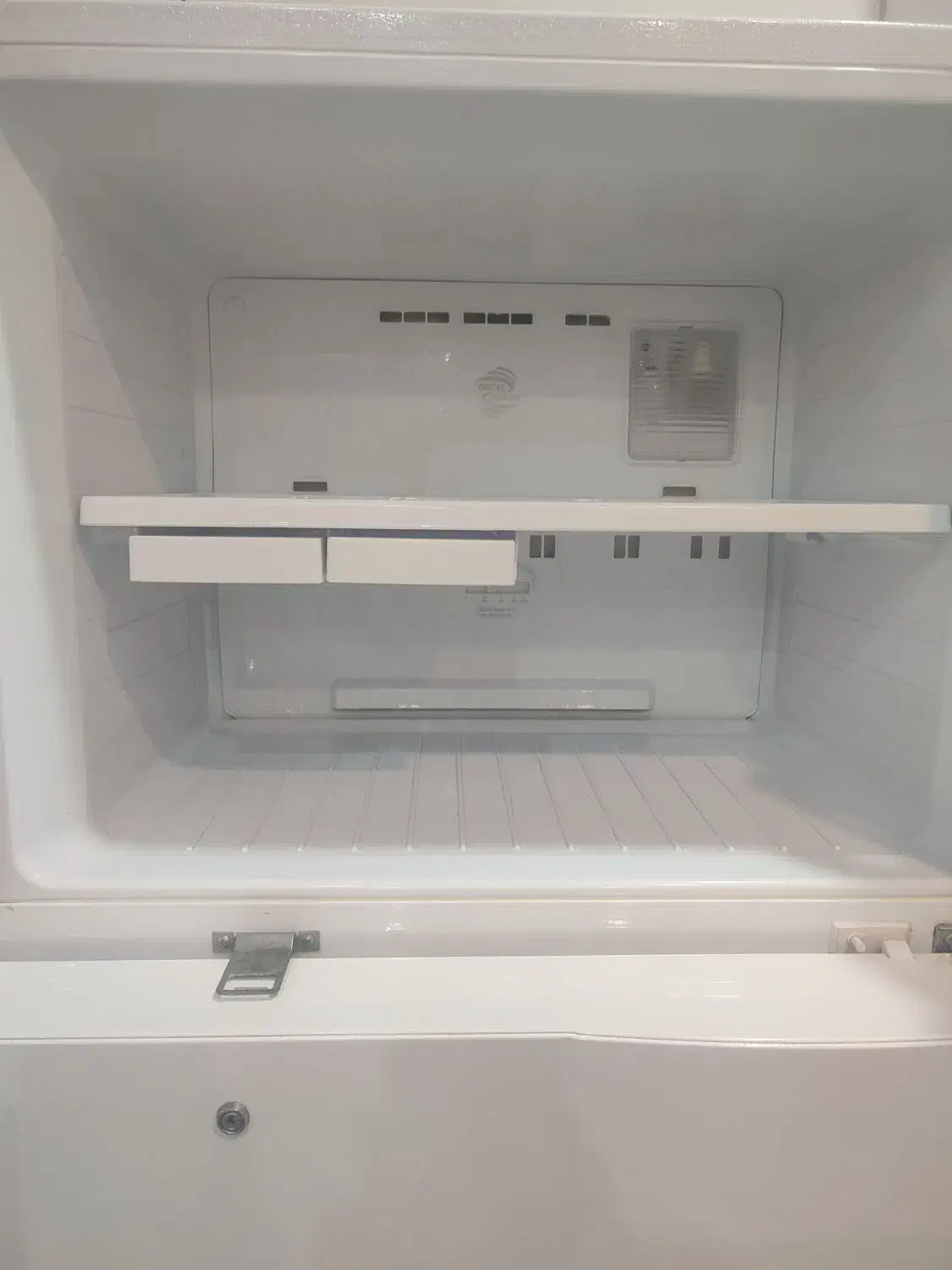 فروش یخچال فریزر دوو در حد نو|یخچال و فریزر|بندرعباس, |دیوار