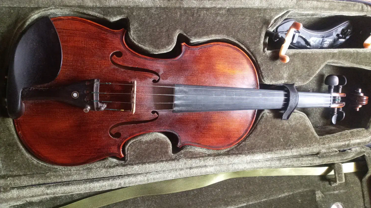 ویلن دست ساز حرفه ای|ویولن|اراک, |دیوار