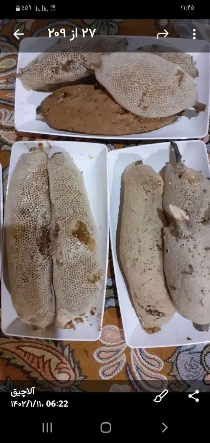 عسل وحشی جنگلی سرشاخه طبیعی درمانی|خوردنی و آشامیدنی|قم, زند آباد|دیوار