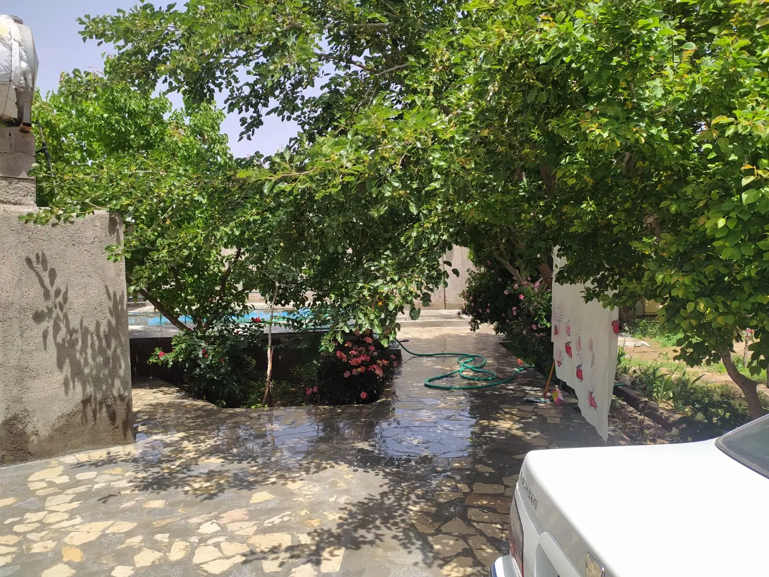 تصویر 5