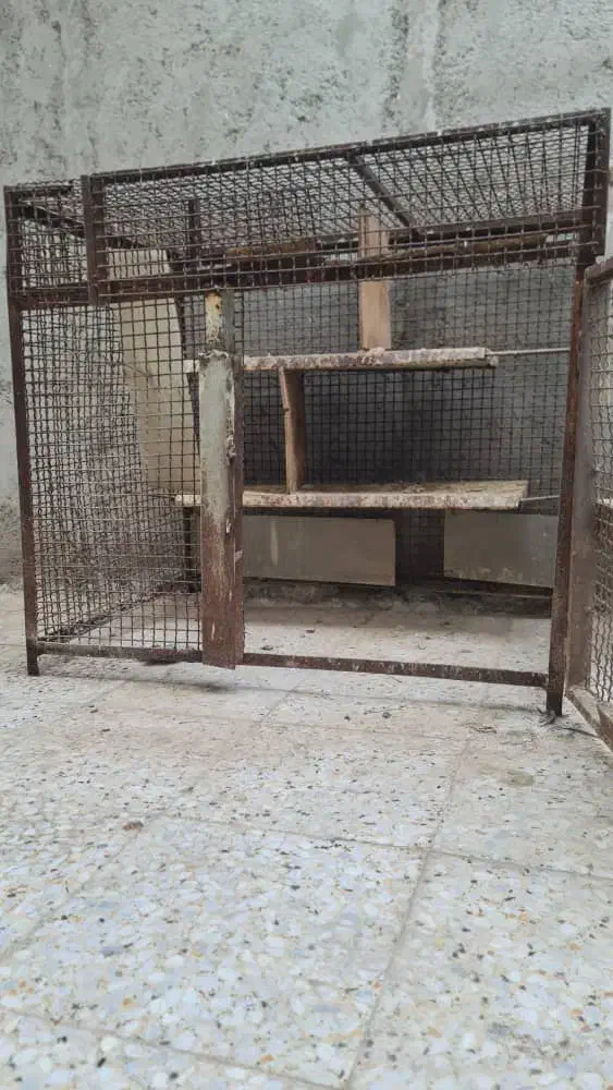 قفس|لوازم جانبی حیوانات|بندرعباس, |دیوار