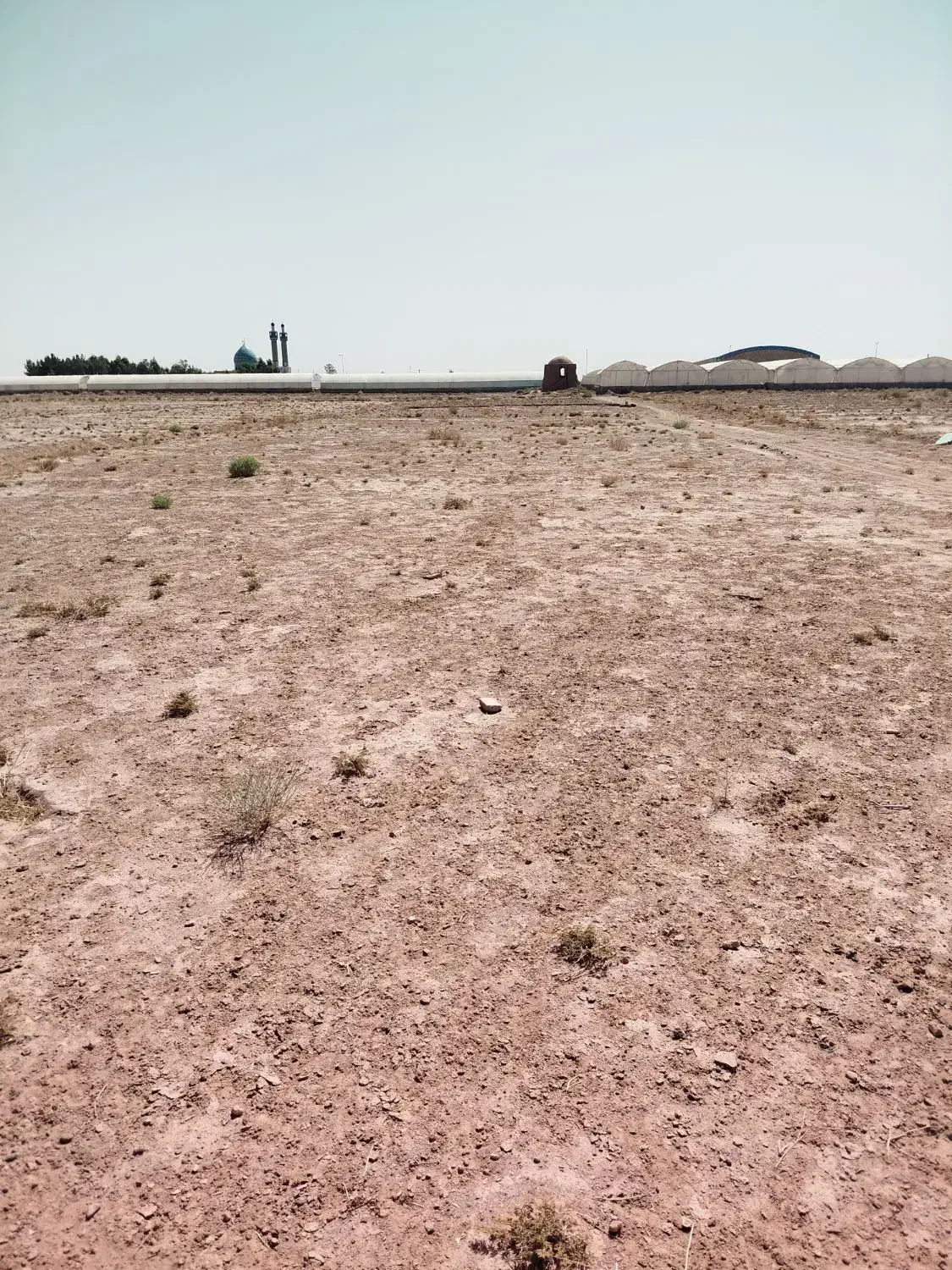 زمین دهنو|فروش زمین و ملک کلنگی|یزد, |دیوار