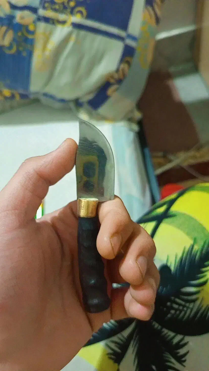 چقو دسته شاخ فورش فوری|کوهنوردی و کمپینگ|گرگان, |دیوار