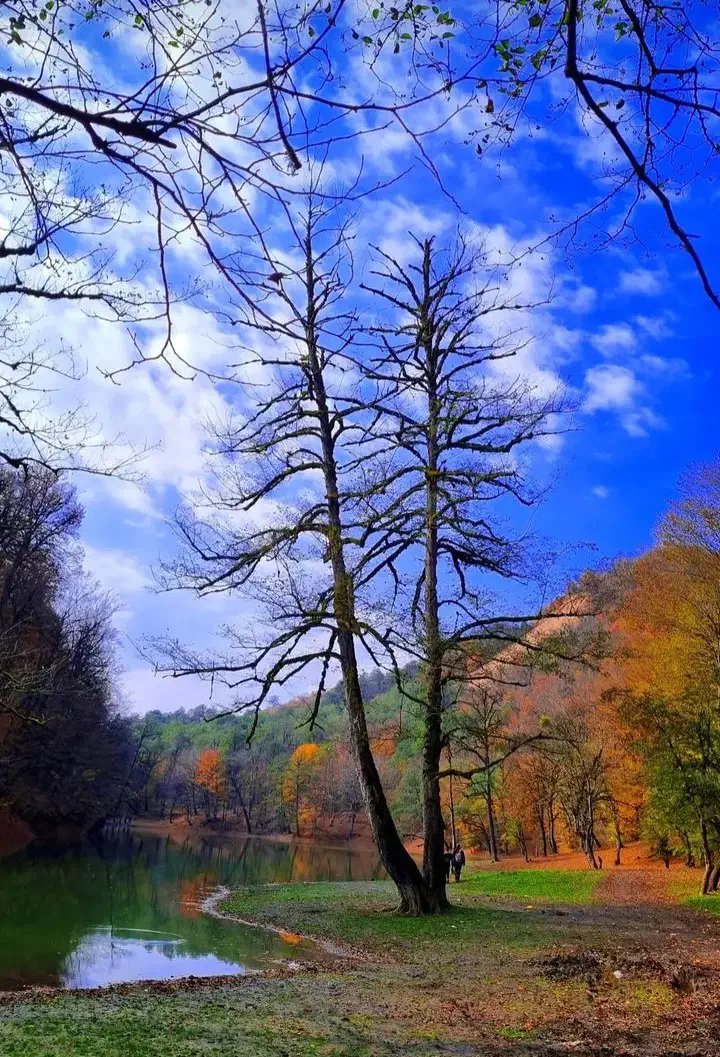 خانه سنتی طرح چوب|اجارهٔ کوتاهمدت آپارتمان و سوئیت|کیاسر, |دیوار