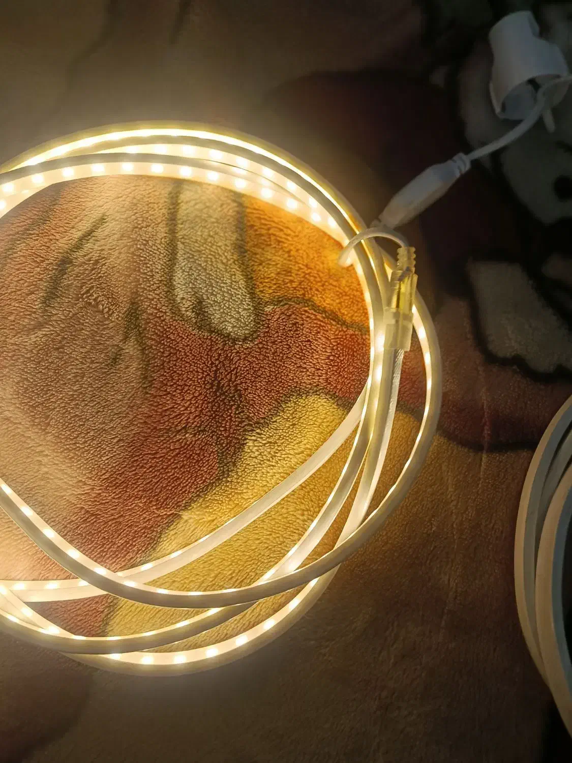 ریسه شلنگی|ریسه و چراغ تزئینی|تهران, مشیریه|دیوار