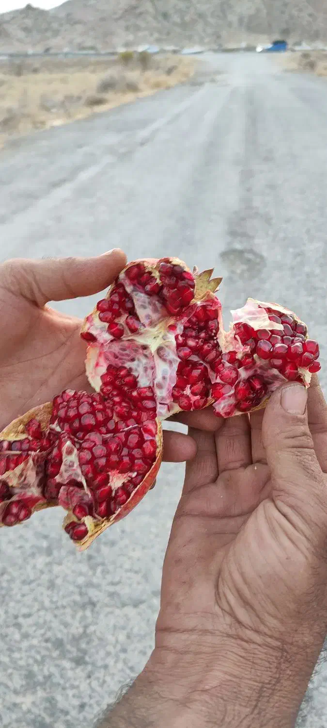 فروش انار با قیمت مناسب|خوردنی و آشامیدنی|ارسنجان, |دیوار