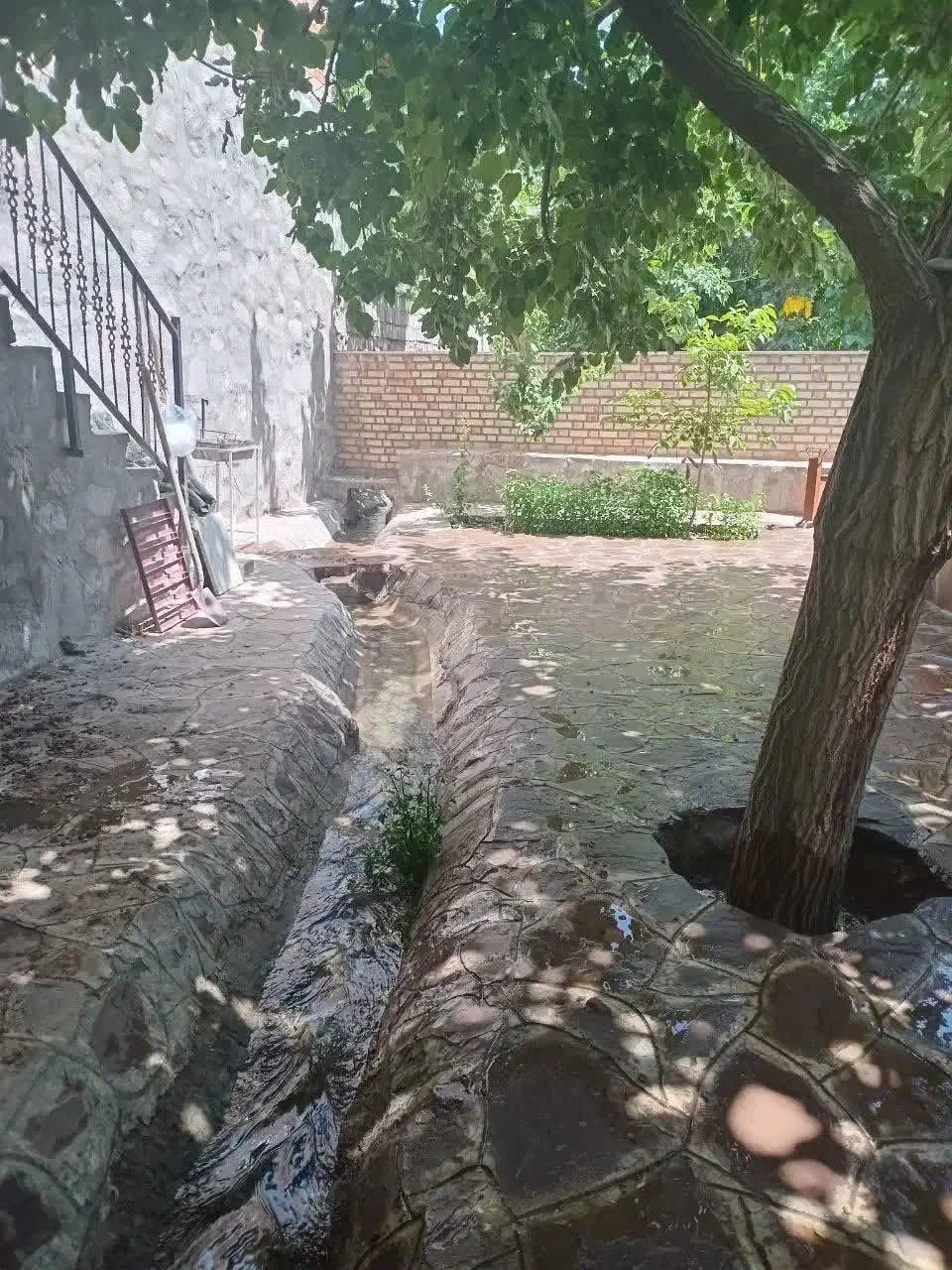 ویلا با ویوی جنگل|اجارهٔ کوتاهمدت ویلا و باغ|بیرجند, |دیوار