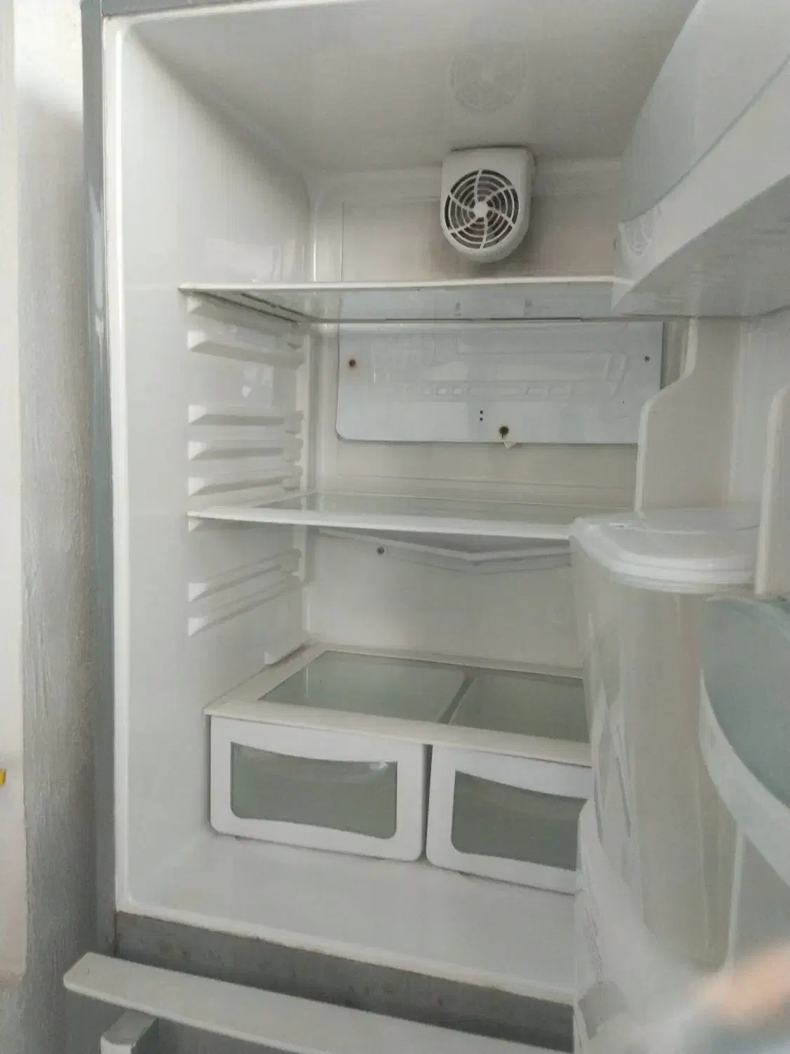 یخچال|یخچال و فریزر|لالجین, |دیوار