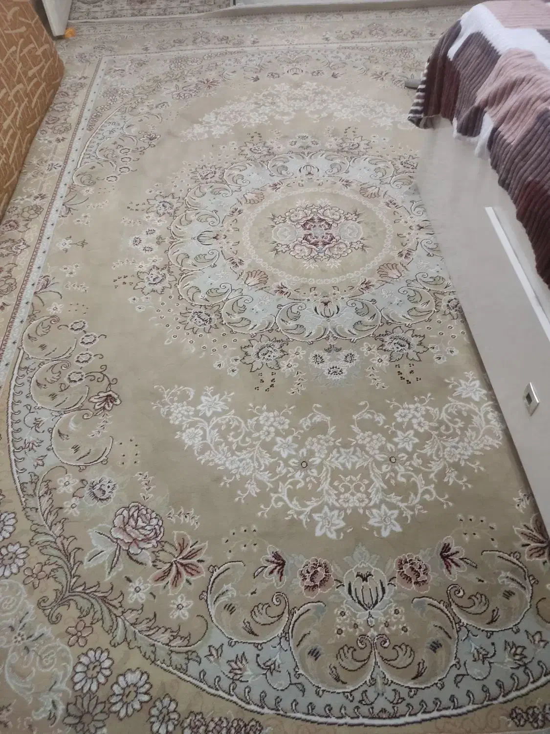 فرش نگین مشهد 9متری کرم رنگ|فرش|سبزوار, عارف|دیوار