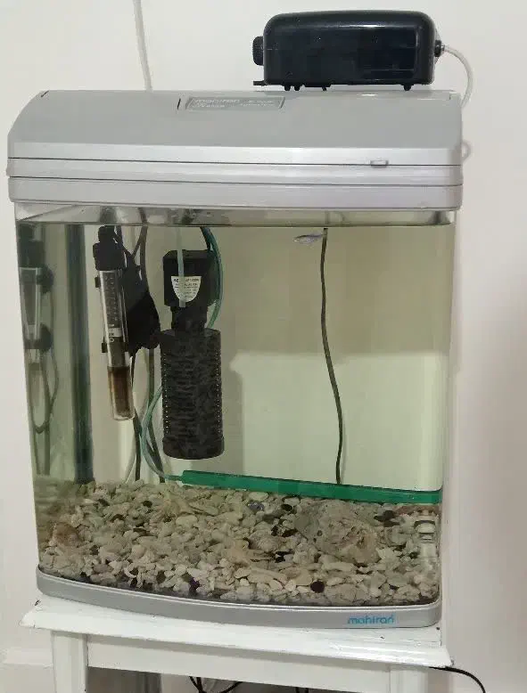 آکواریوم برند ماهیران|ماهی|تهران, نظامآباد|دیوار