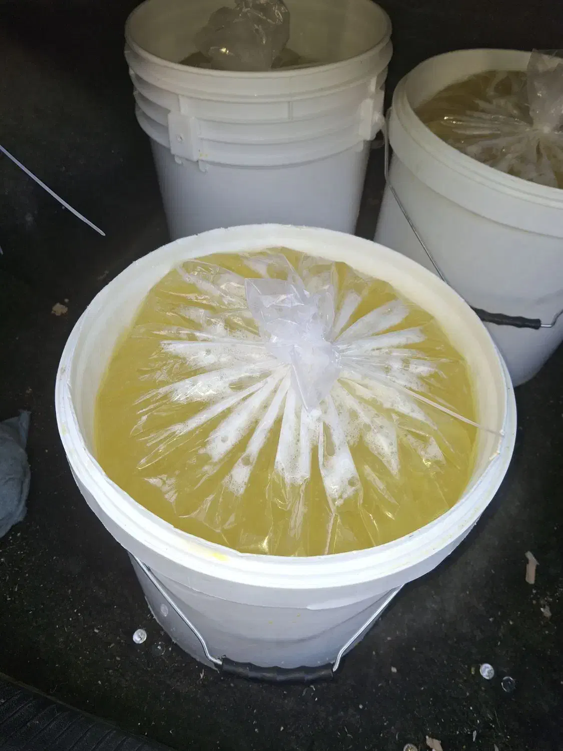 سفیده تخم مرغ عمده|عمده‌فروشی|مشهد, فاطمیه|دیوار