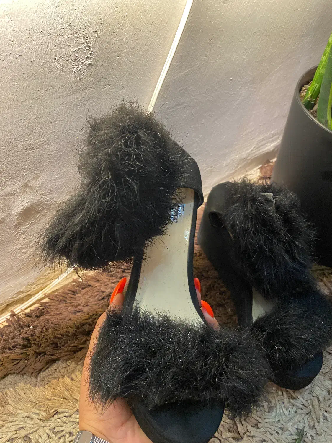 صندل مجلسی نو|کیف، کفش، کمربند|شیراز, قدوسی شرقی|دیوار