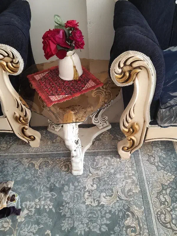 مبل|مبلمان خانگی و میز عسلی|تربت‌حیدریه, باغ سلطانی|دیوار