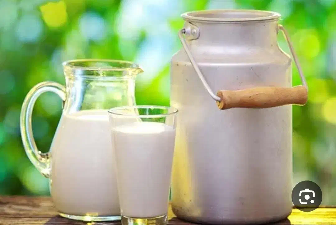 شیر گاو|خوردنی و آشامیدنی|اهر, |دیوار