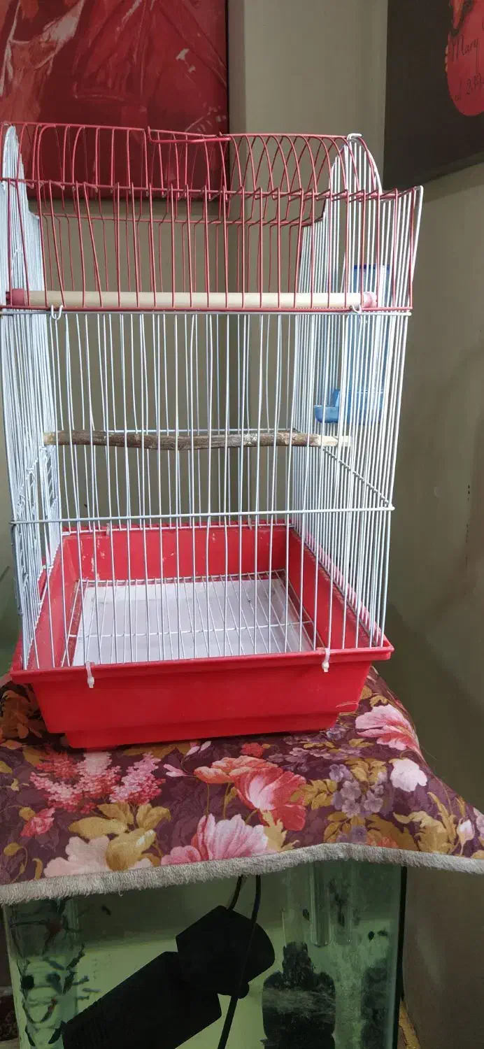 یک عدد قفس پرنده فوری|لوازم جانبی حیوانات|پاکدشت, پاکدشت (مامازند)|دیوار