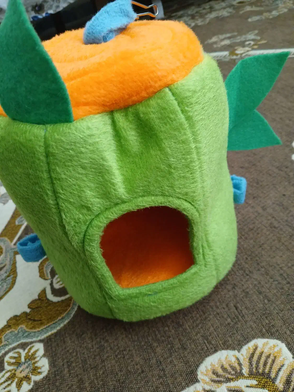 خونه ی عروس هلندی مرغ عشق فنچ مرغ مینا|لوازم جانبی حیوانات|قزوین, |دیوار