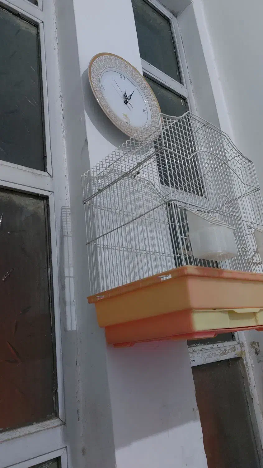 یک عدد قفس قناری با همه وسائل|لوازم جانبی حیوانات|قم, خندق|دیوار