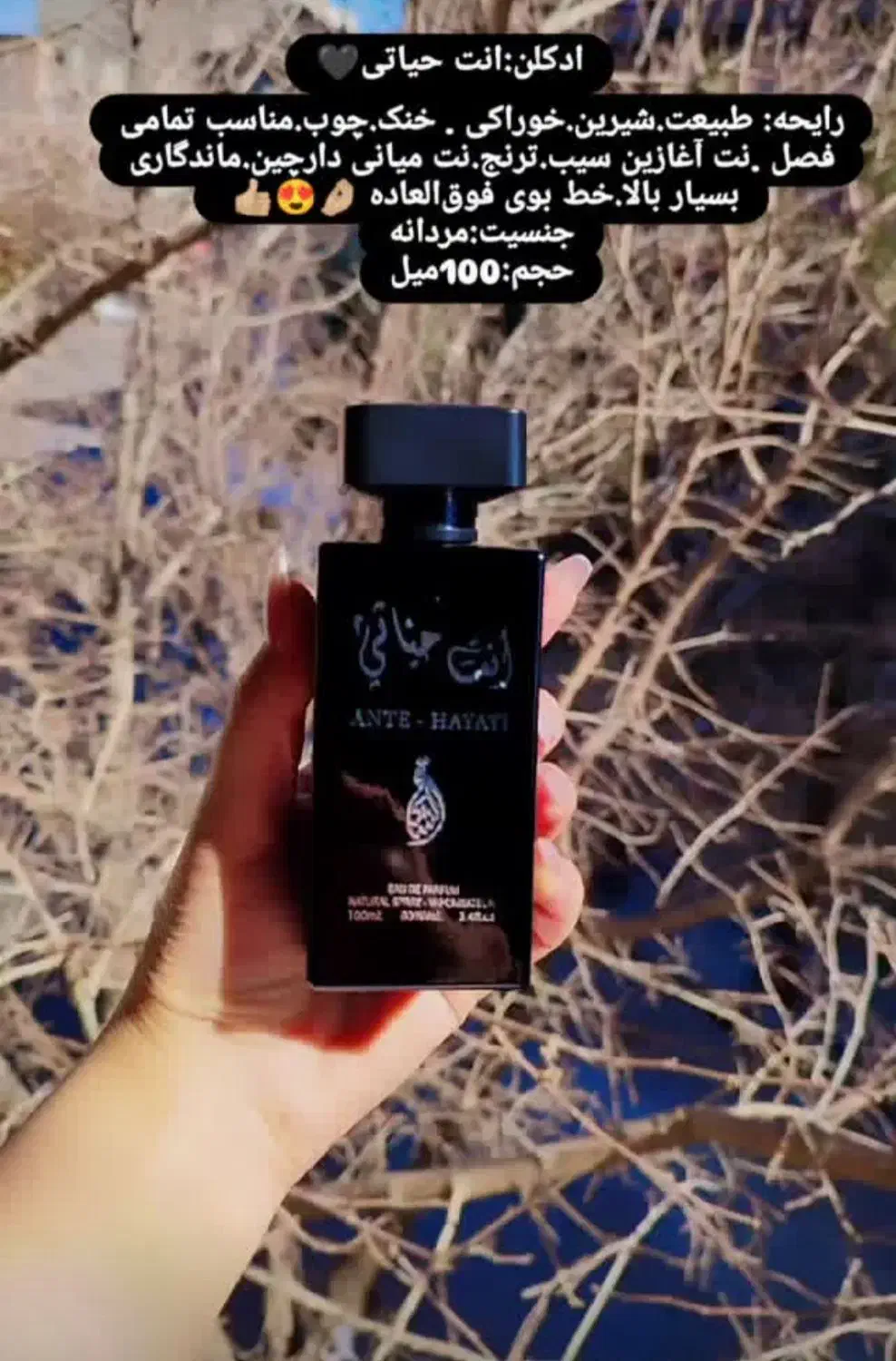 ادکلن های وارداتی ازدبی ۱۰۰ میل|آرایشی، بهداشتی، درمانی|تهران, تهرانپارس جنوبی|دیوار