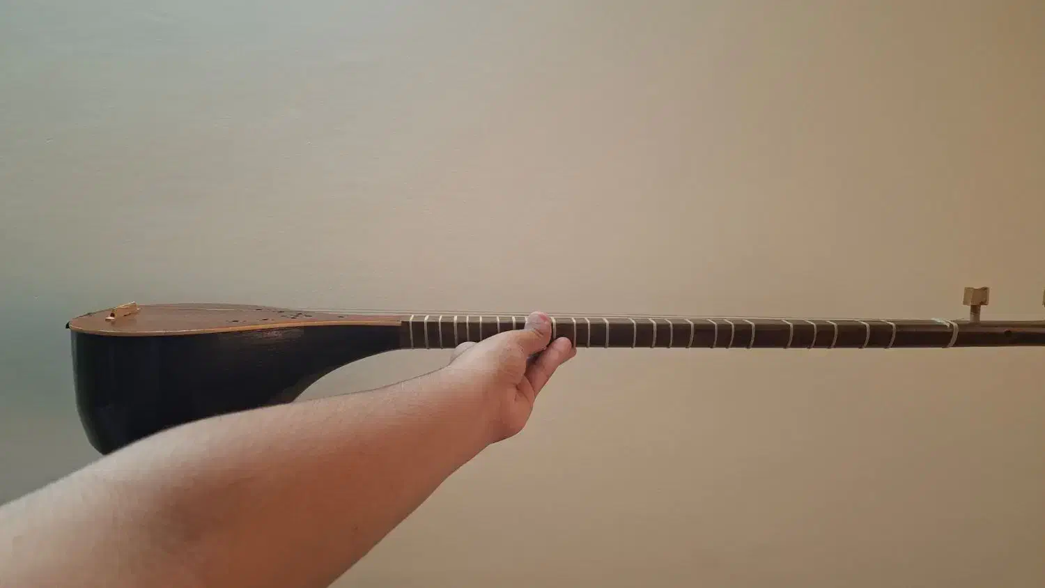 سه تار کیفیت خوب مناسب هنرجوی سطح متوسط|سازهای سنتی|بوشهر, |دیوار