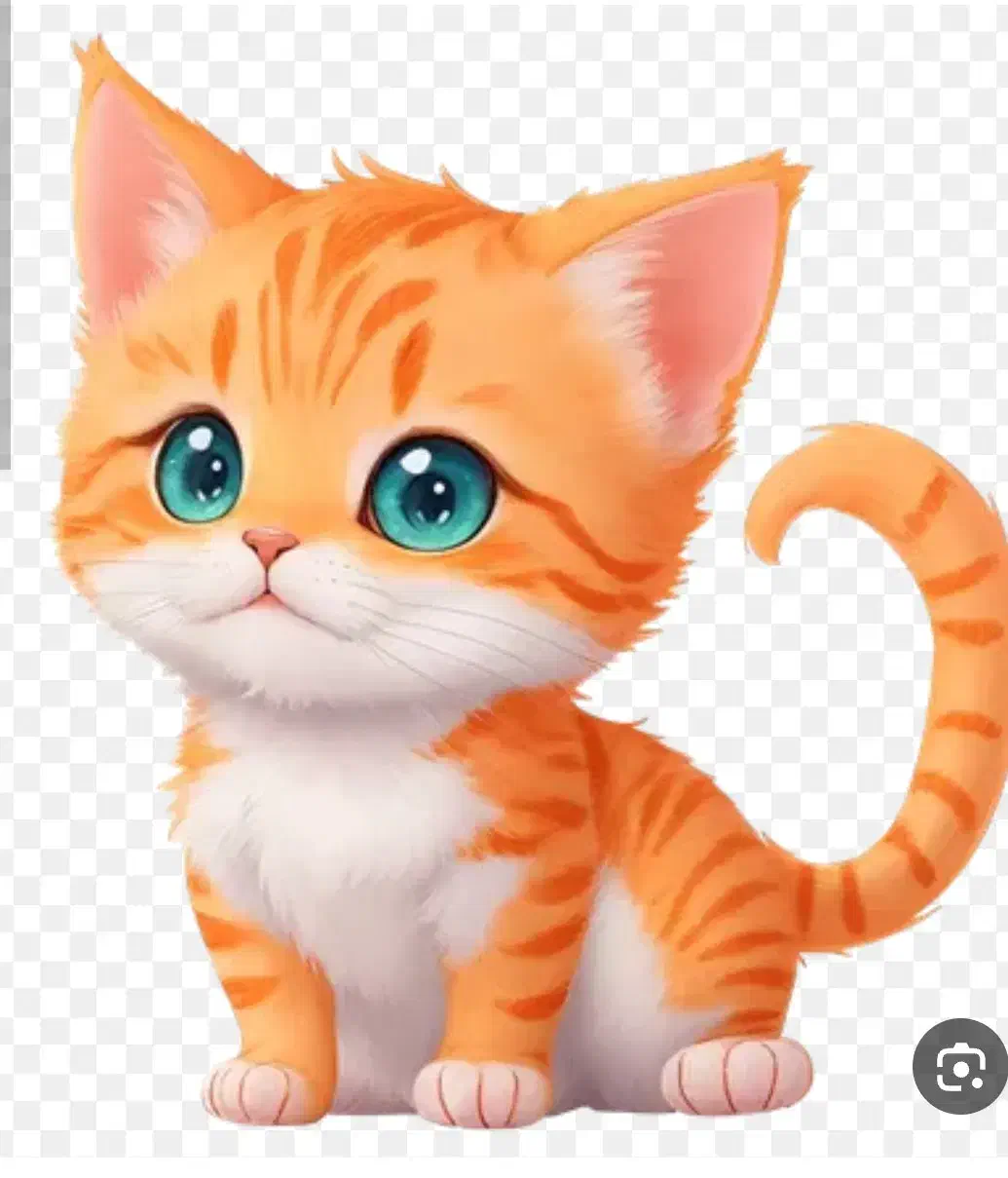 گربه خونگی پیدا کردم|گربه|ساوه, |دیوار