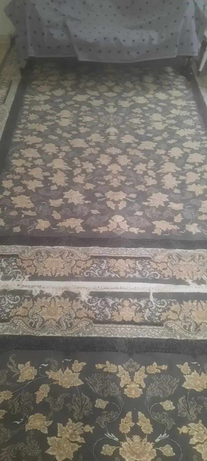 فرش ۶ متری|فرش|کرمانشاه, |دیوار