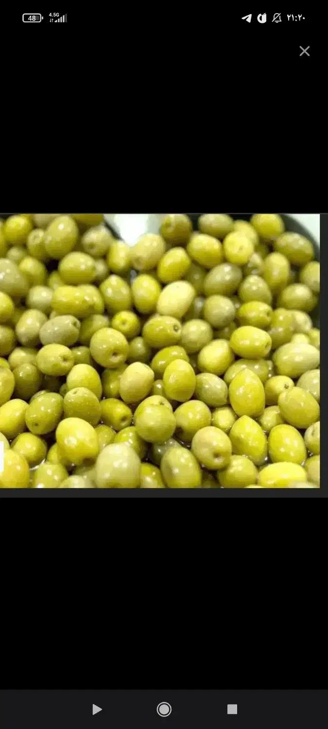 زیتون|خوردنی و آشامیدنی|گوگان, |دیوار