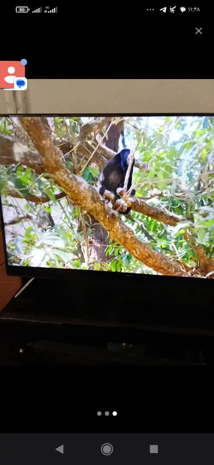 تلویزیون ال ای دی جی پلاس|تلویزیون و پروژکتور|شیروان (خراسان), |دیوار