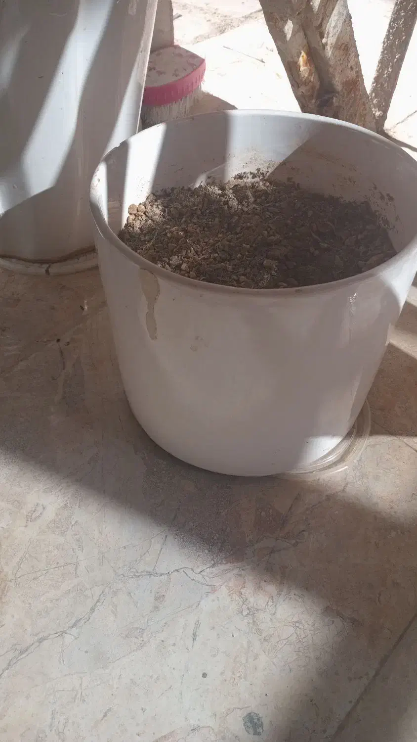 4عدد گلدان سرامیکی|گل و گیاه طبیعی|قم, ولیعصر|دیوار