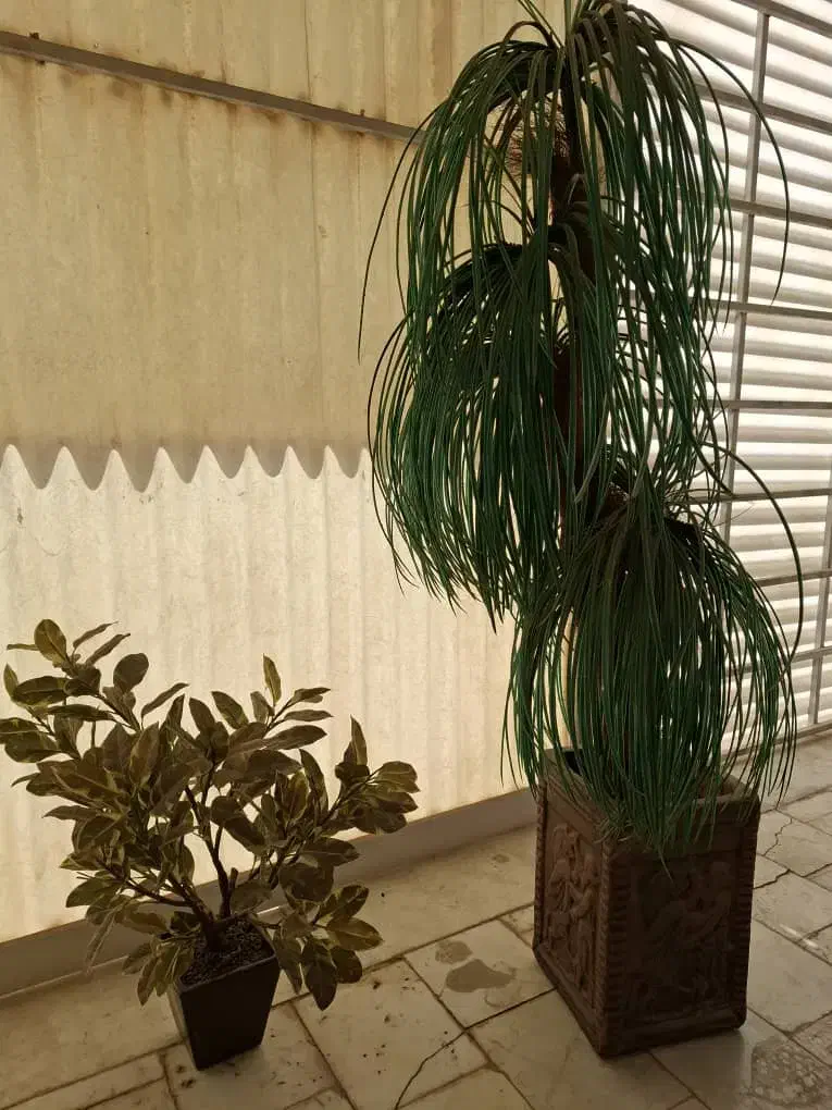 ۳ عدد گل مصنوعی|گل مصنوعی|شاهینشهر, دهخدا|دیوار