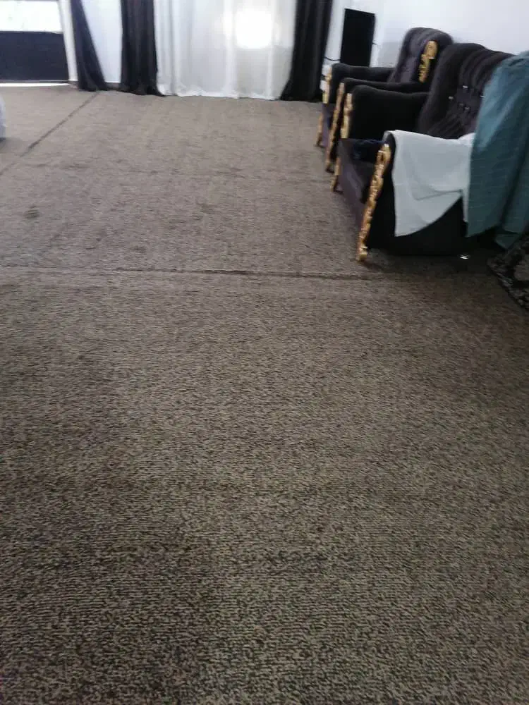 موکت پالاز در حد نو|موکت|آبادان, |دیوار