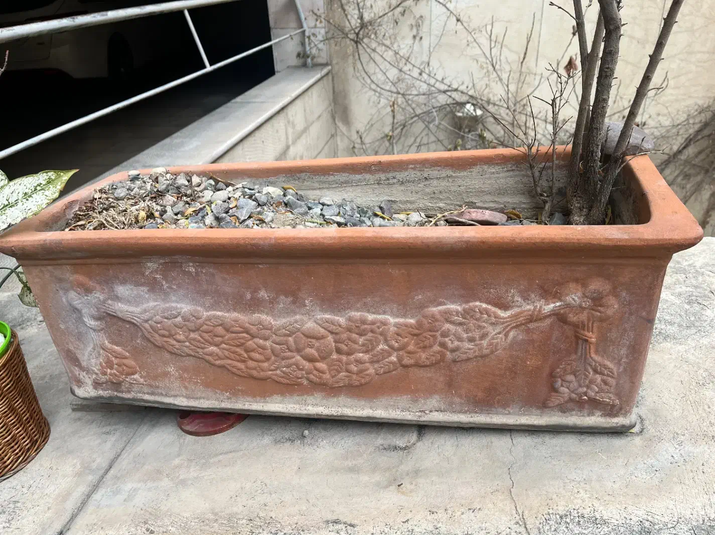 گلدان های سفالی|گل و گیاه طبیعی|تهران, ونک|دیوار