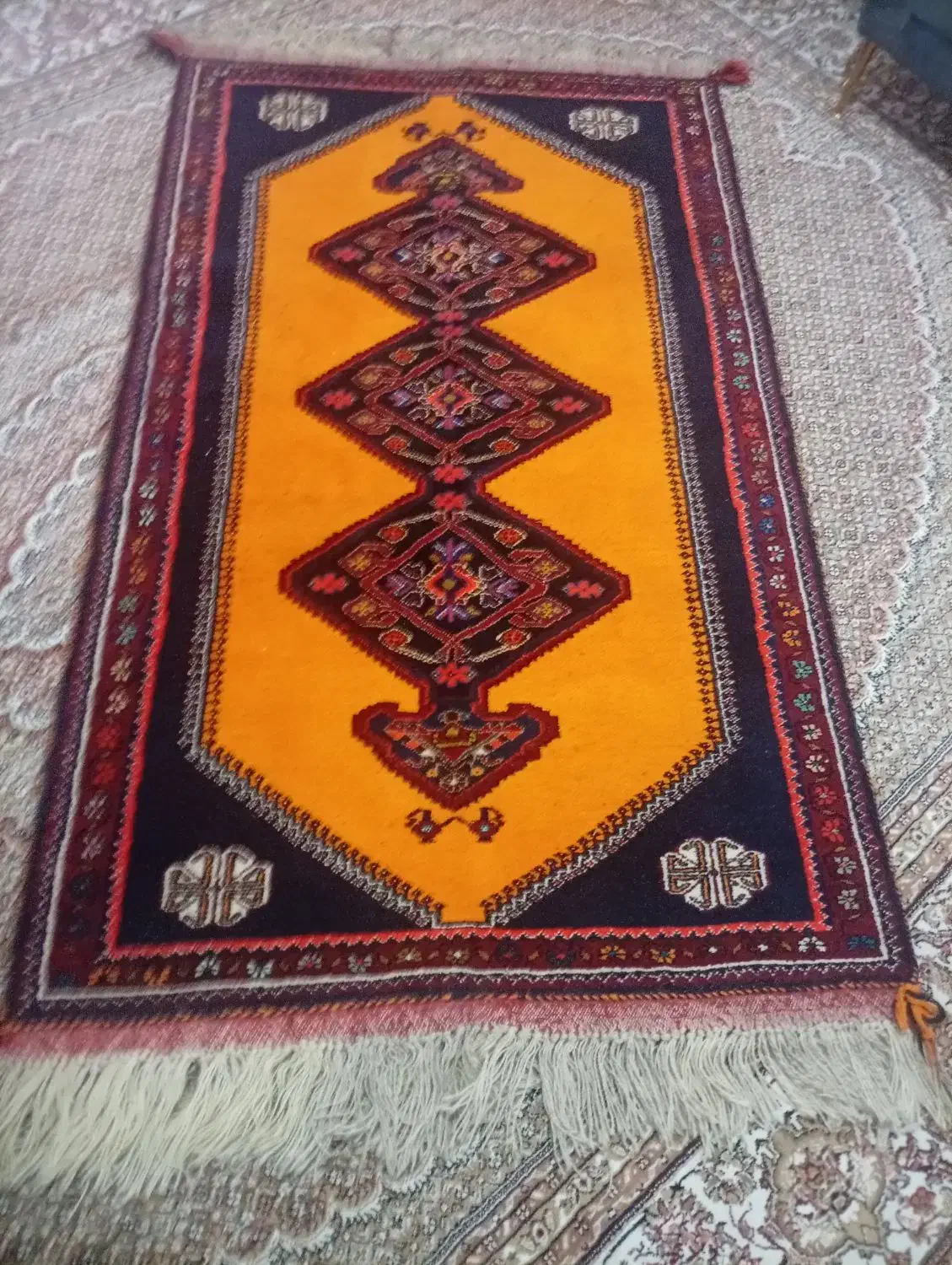 قالی دستباف اعلا|فرش|شیراز, فرگاز|دیوار