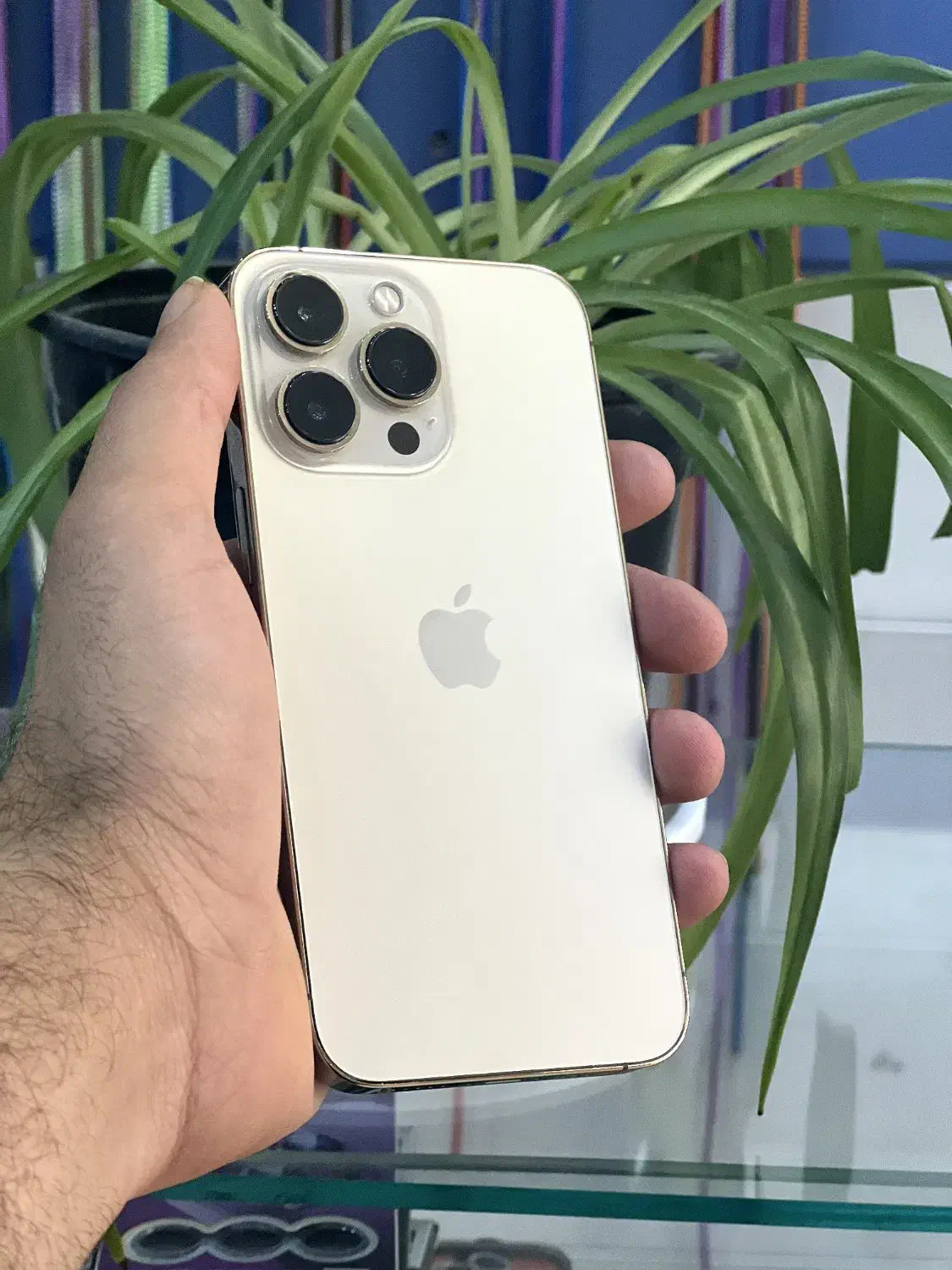 ip 13pro|موبایل|رامهرمز, |دیوار