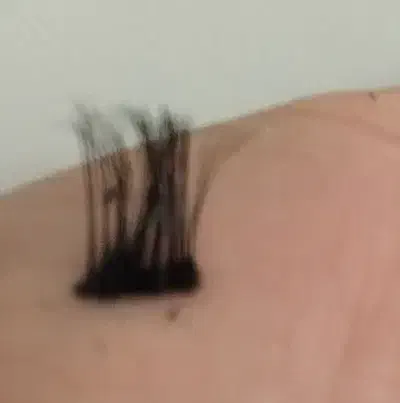 فقط و فقط ۲۰۰|حراج|اسفراین, |دیوار