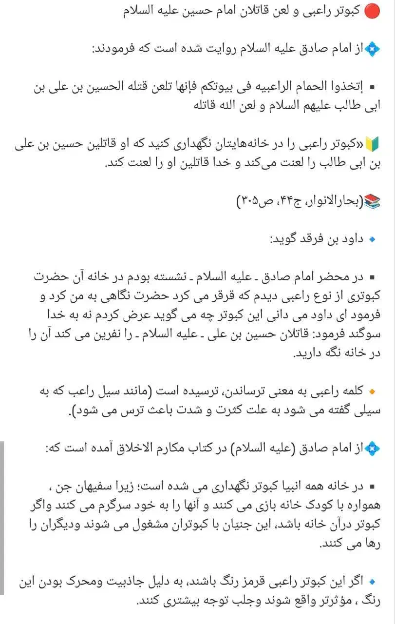 کبوتر راعبی نژاد اصل|پرنده|قم, پردیسان|دیوار