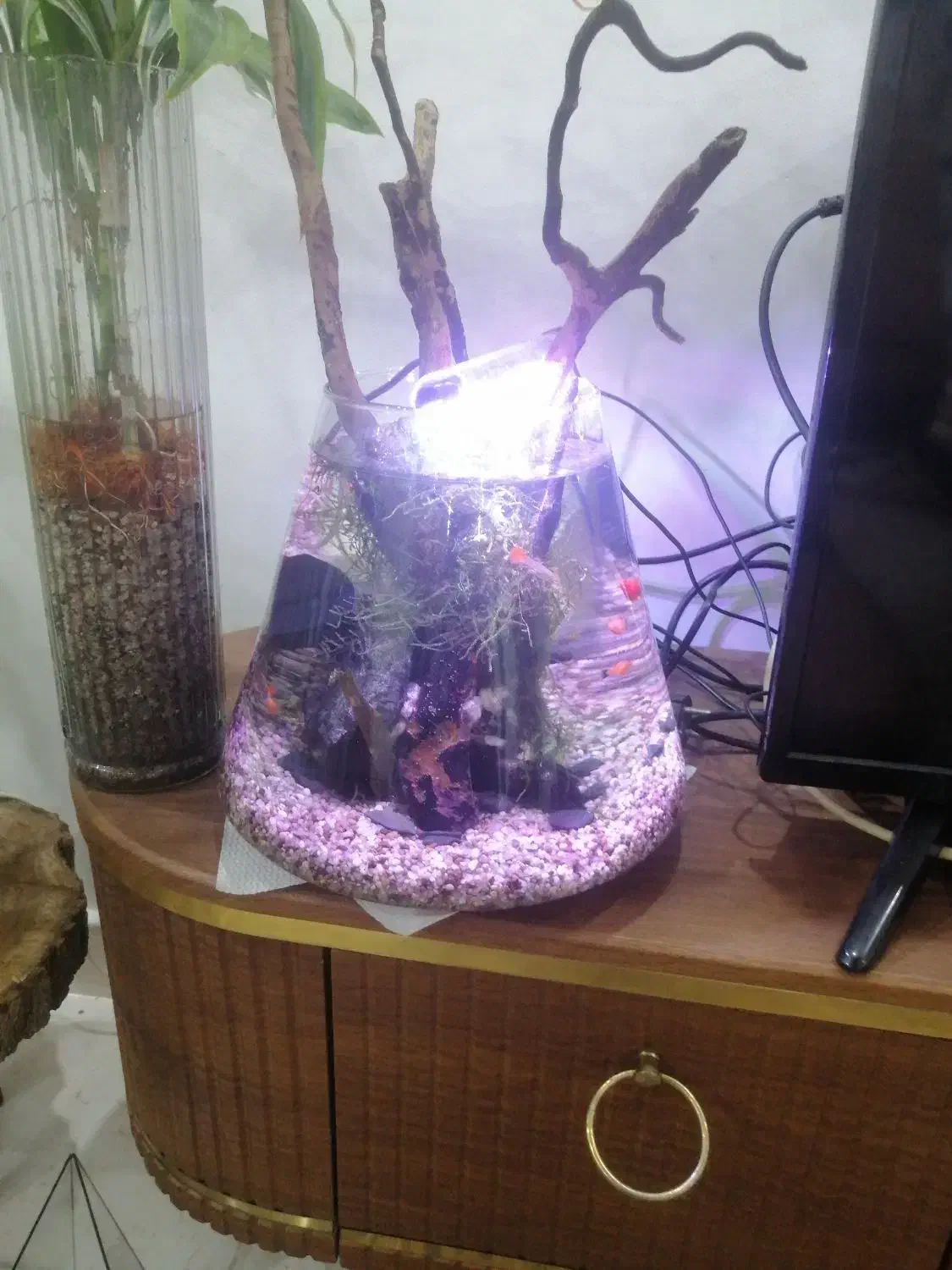 تنگ بزرگ ماهی|ماهی|رشت, کوی مهر|دیوار