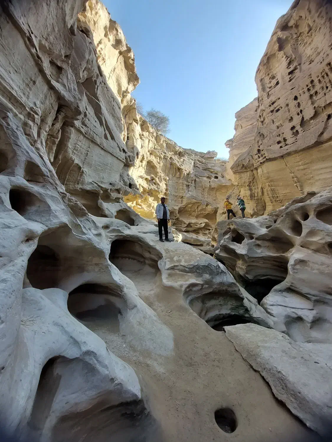 تور یک روزه جزیره قشم از زیباترین نقاط|تور و چارتر|قشم, |دیوار