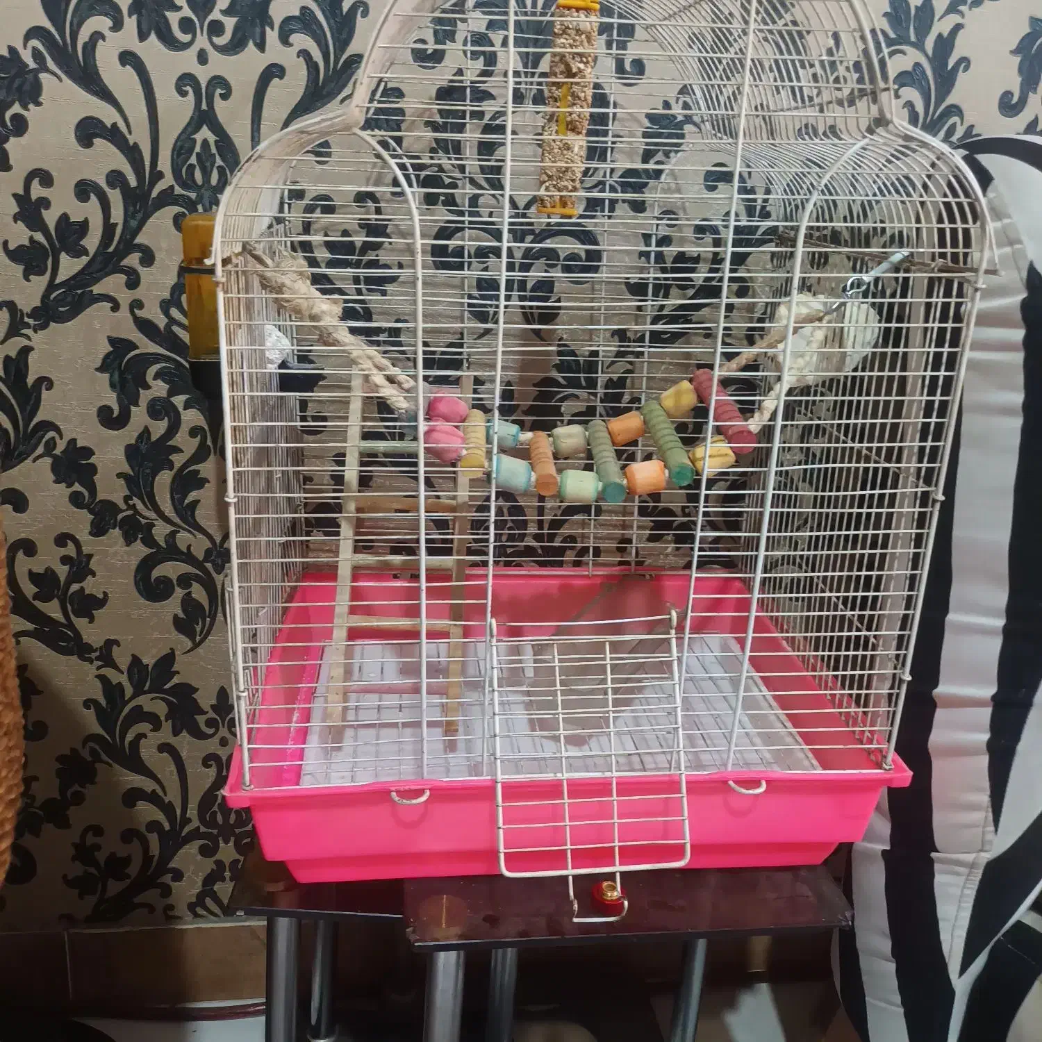 قفس پرنده|لوازم جانبی حیوانات|تهران, والفجر (افسریه)|دیوار